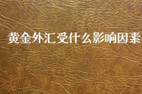 黄金外汇受什么影响因素_https://wap.hpmsj.cn_金融机构_第1张