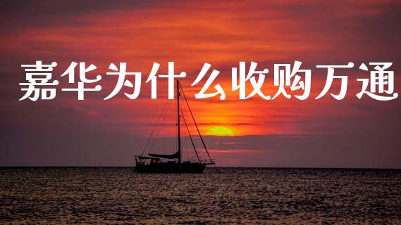 嘉华为什么收购万通_https://wap.hpmsj.cn_债券投资_第1张