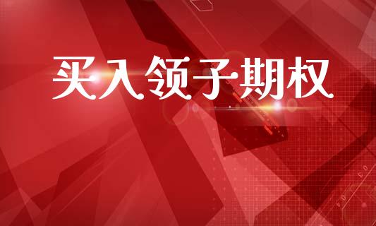 买入领子期权_https://wap.hpmsj.cn_外汇汇率_第1张