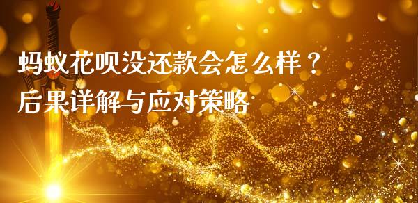 蚂蚁花呗没还款会怎么样？后果详解与应对策略_https://wap.hpmsj.cn_外汇汇率_第1张