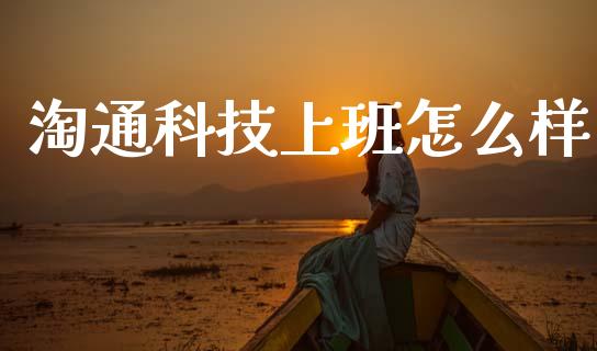 淘通科技上班怎么样_https://wap.hpmsj.cn_金融机构_第1张