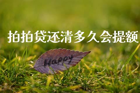 拍拍贷还清多久会提额_https://wap.hpmsj.cn_金融机构_第1张