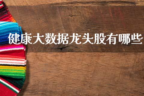 健康大数据龙头股有哪些_https://wap.hpmsj.cn_期货交易_第1张