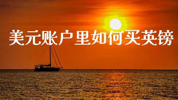 美元账户里如何买英镑_https://wap.hpmsj.cn_外汇汇率_第1张