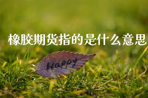 橡胶期货指的是什么意思_财经时评_第1张_财经时评_基金分析_期货交易_金融机构_外汇汇率_债券投资 橡胶期货指的是什么意思_https://wap.hpmsj.cn_财经时评_第1张