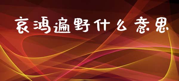 哀鸿遍野什么意思_https://wap.hpmsj.cn_金融机构_第1张