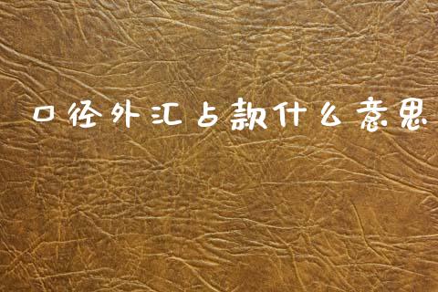 口径外汇占款什么意思_https://wap.hpmsj.cn_金融机构_第1张