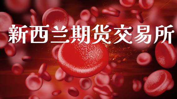 新西兰期货交易所_https://wap.hpmsj.cn_债券投资_第1张