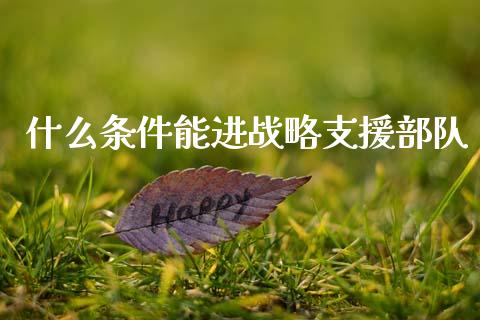 什么条件能进战略支援部队_https://wap.hpmsj.cn_财经时评_第1张