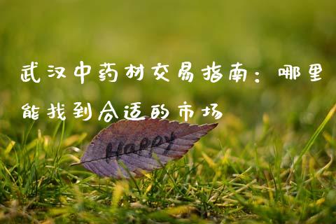武汉中药材交易指南：哪里能找到合适的市场_https://wap.hpmsj.cn_财经时评_第1张