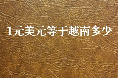 1元美元等于越南多少_https://wap.hpmsj.cn_财经时评_第1张