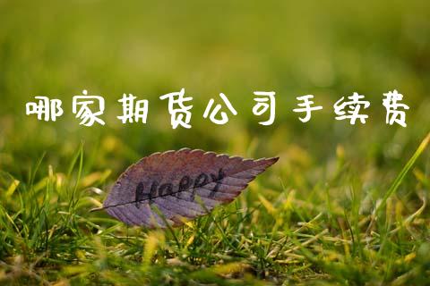 哪家期货公司手续费_https://wap.hpmsj.cn_债券投资_第1张