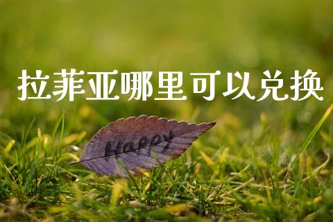 拉菲亚哪里可以兑换_https://wap.hpmsj.cn_基金分析_第1张
