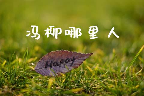 冯柳哪里人_https://wap.hpmsj.cn_外汇汇率_第1张