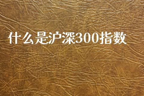 什么是沪深300指数_https://wap.hpmsj.cn_外汇汇率_第1张