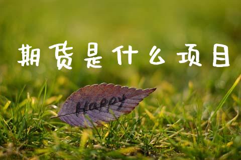 期货是什么项目_https://wap.hpmsj.cn_外汇汇率_第1张