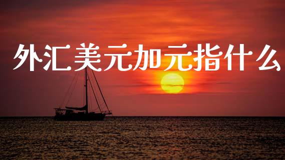 外汇美元加元指什么_https://wap.hpmsj.cn_金融机构_第1张