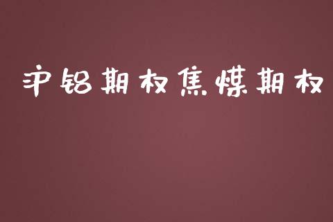 沪铝期权焦煤期权_https://wap.hpmsj.cn_金融机构_第1张