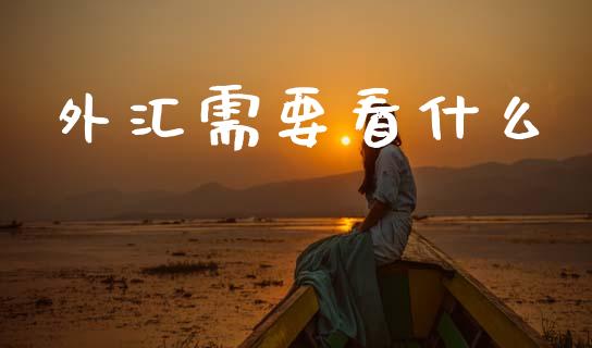 外汇需要看什么_https://wap.hpmsj.cn_基金分析_第1张