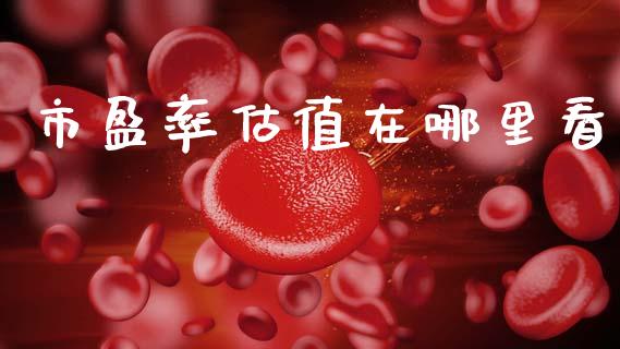 市盈率估值在哪里看_https://wap.hpmsj.cn_金融机构_第1张