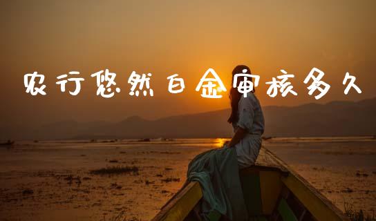农行悠然白金审核多久_https://wap.hpmsj.cn_债券投资_第1张