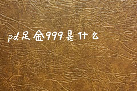 pd足金999是什么_https://wap.hpmsj.cn_期货交易_第1张
