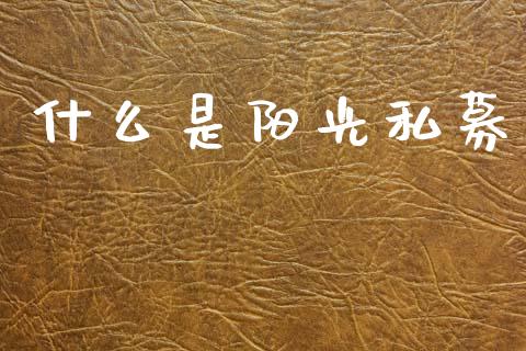 什么是阳光私募_https://wap.hpmsj.cn_外汇汇率_第1张