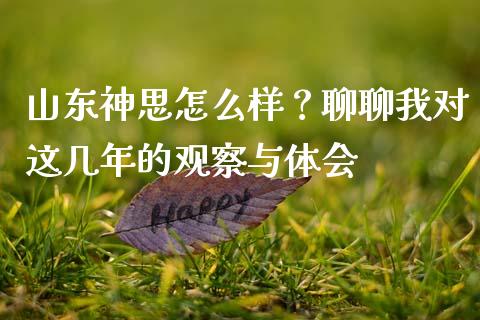 山东神思怎么样？聊聊我对这几年的观察与体会_https://wap.hpmsj.cn_期货交易_第1张