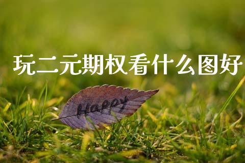 玩二元期权看什么图好_https://wap.hpmsj.cn_财经时评_第1张