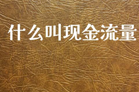 什么叫现金流量_https://wap.hpmsj.cn_财经时评_第1张