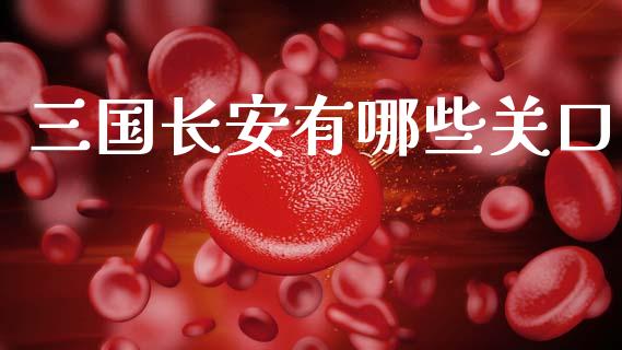 三国长安有哪些关口_https://wap.hpmsj.cn_金融机构_第1张