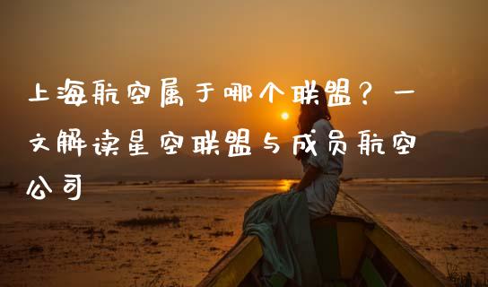 上海航空属于哪个联盟？一文解读星空联盟与成员航空公司_https://wap.hpmsj.cn_基金分析_第1张