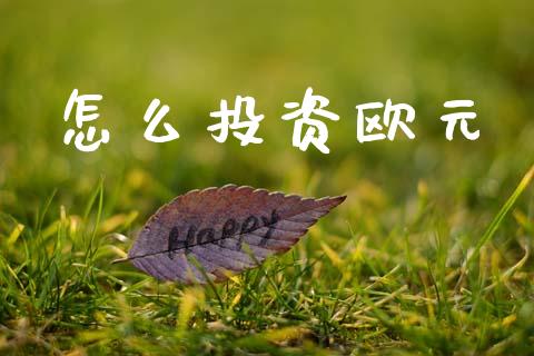 怎么投资欧元_https://wap.hpmsj.cn_债券投资_第1张