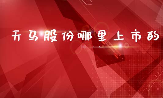 天马股份哪里上市的_https://wap.hpmsj.cn_期货交易_第1张