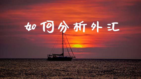 如何分析外汇_https://wap.hpmsj.cn_基金分析_第1张