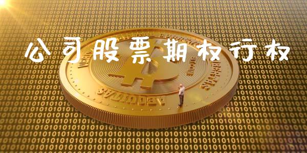 公司股票期权行权_https://wap.hpmsj.cn_债券投资_第1张