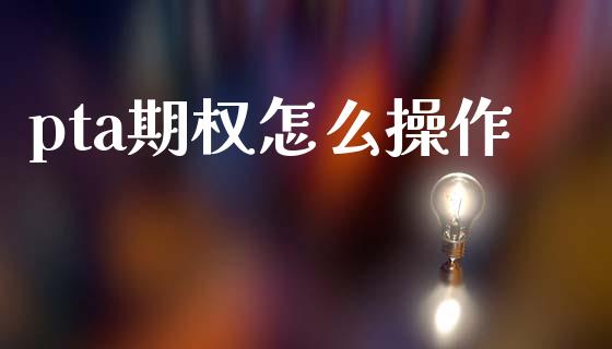 pta期权怎么操作_https://wap.hpmsj.cn_期货交易_第1张
