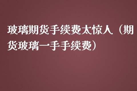 玻璃期货手续费太惊人（期货玻璃一手手续费）_https://wap.hpmsj.cn_外汇汇率_第1张