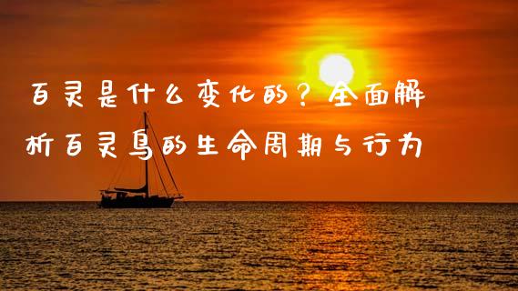 百灵是什么变化的？全面解析百灵鸟的生命周期与行为_https://wap.hpmsj.cn_基金分析_第1张
