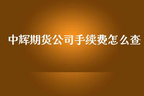 中辉期货公司手续费怎么查_https://wap.hpmsj.cn_外汇汇率_第1张