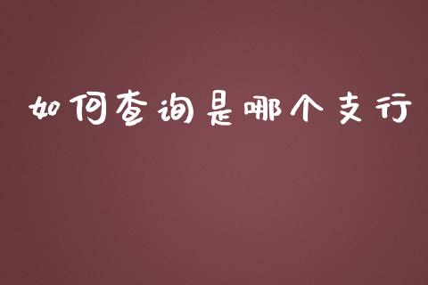如何查询是哪个支行_https://wap.hpmsj.cn_基金分析_第1张