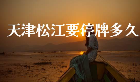 天津松江要停牌多久_https://wap.hpmsj.cn_期货交易_第1张