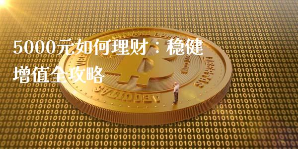 5000元如何理财：稳健增值全攻略_https://wap.hpmsj.cn_金融机构_第1张