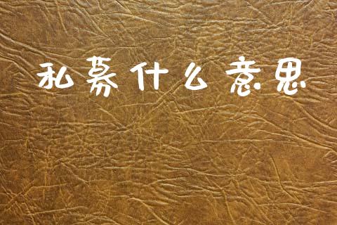 私募什么意思_https://wap.hpmsj.cn_基金分析_第1张