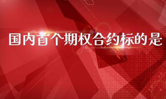 国内首个期权合约标的是_https://wap.hpmsj.cn_期货交易_第1张