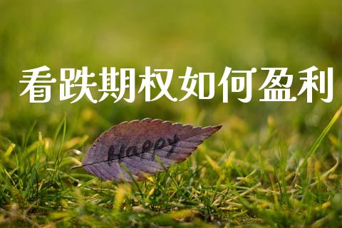 看跌期权如何盈利_https://wap.hpmsj.cn_债券投资_第1张