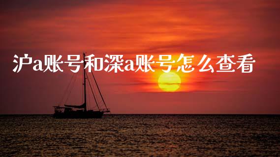 沪a账号和深a账号怎么查看_https://wap.hpmsj.cn_外汇汇率_第1张