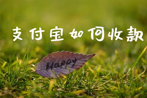 支付宝如何收款_https://wap.hpmsj.cn_债券投资_第1张