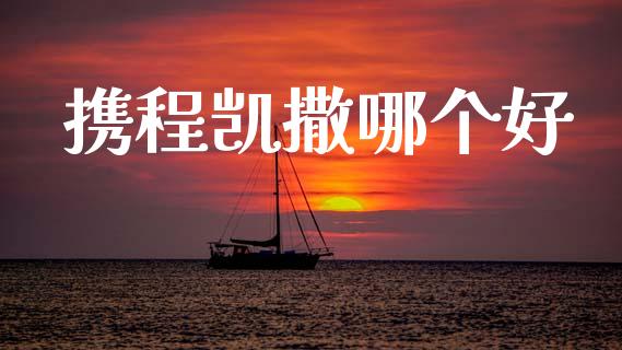 携程凯撒哪个好_https://wap.hpmsj.cn_金融机构_第1张