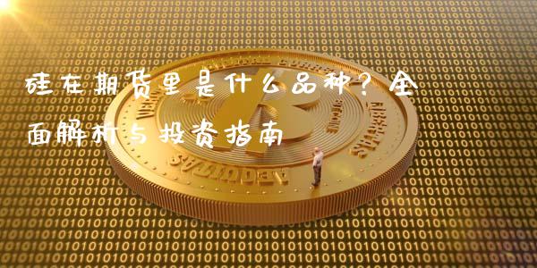 硅在期货里是什么品种？全面解析与投资指南_https://wap.hpmsj.cn_基金分析_第1张